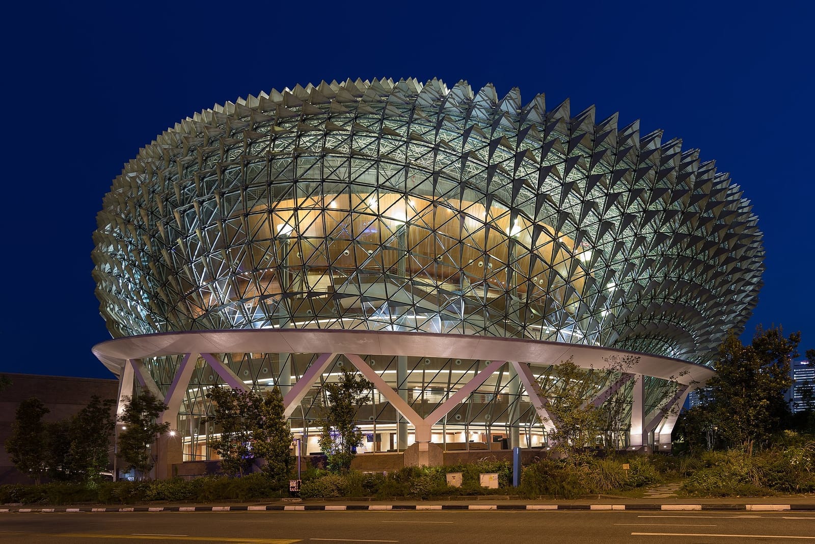 Shiok8 article cover image